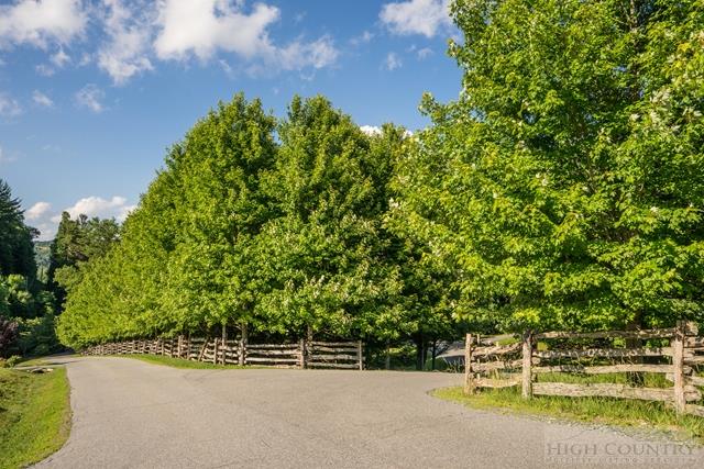 Lot 12 Cielo Road Property Photo 11