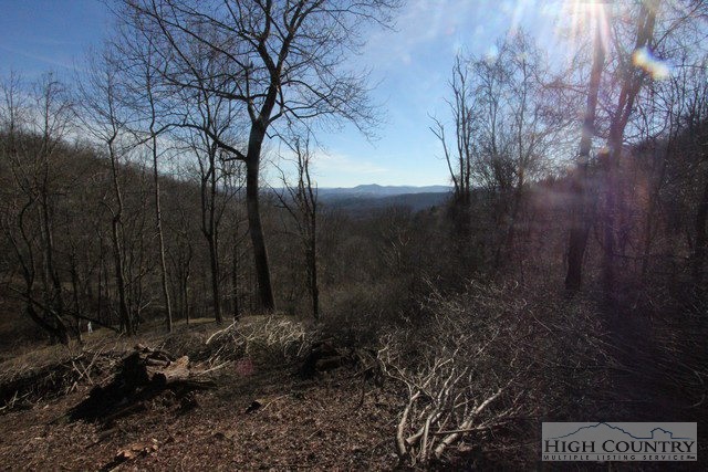 Lot 117 Point Lookout Lane Property Photo 2