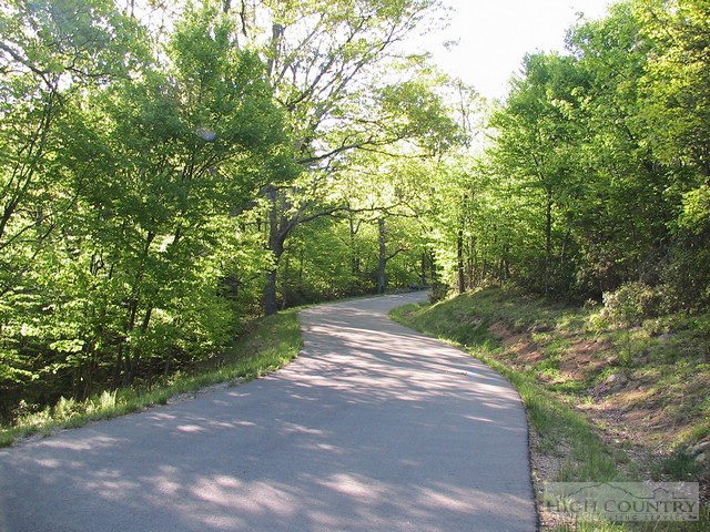 Lot 117 Point Lookout Lane Property Photo 8