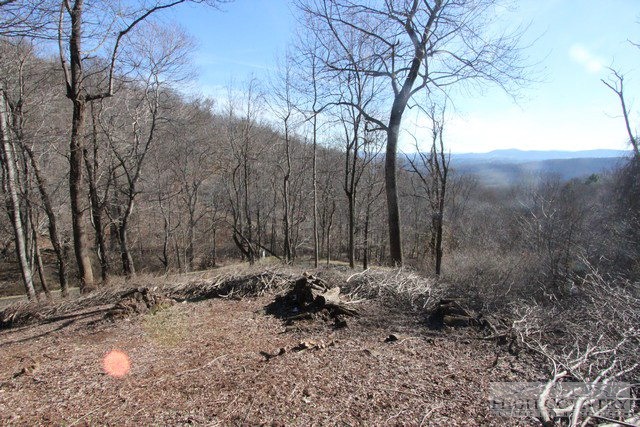 Lot 117 Point Lookout Lane Property Photo 10