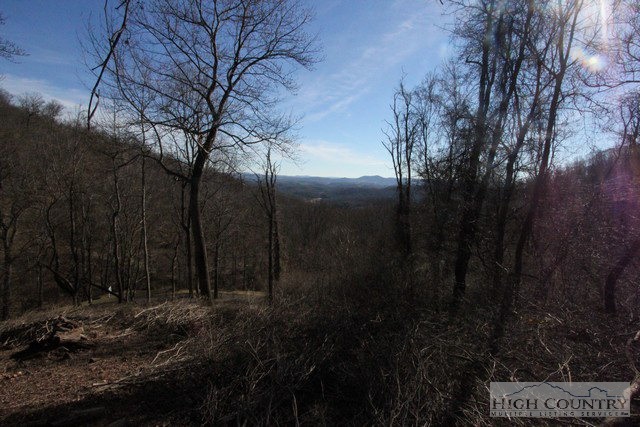 Lot 117 Point Lookout Lane Property Photo 12