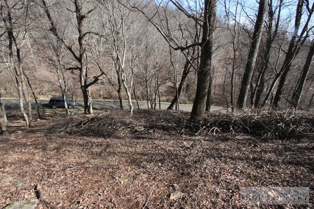 Lot 117 Point Lookout Lane Property Photo 13