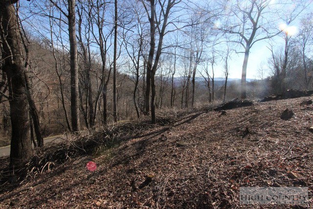 Lot 117 Point Lookout Lane Property Photo 14