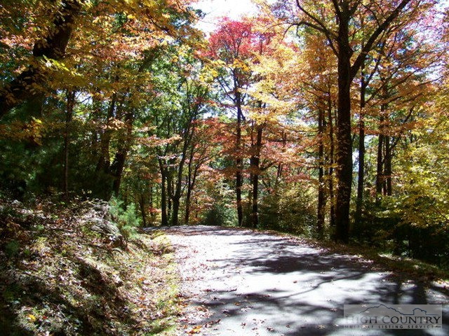 Lot 117 Point Lookout Lane Property Photo 16