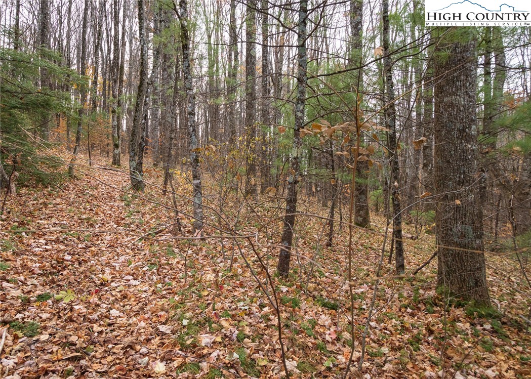 Tbd Lot 20 Solitude Lane Property Photo 3