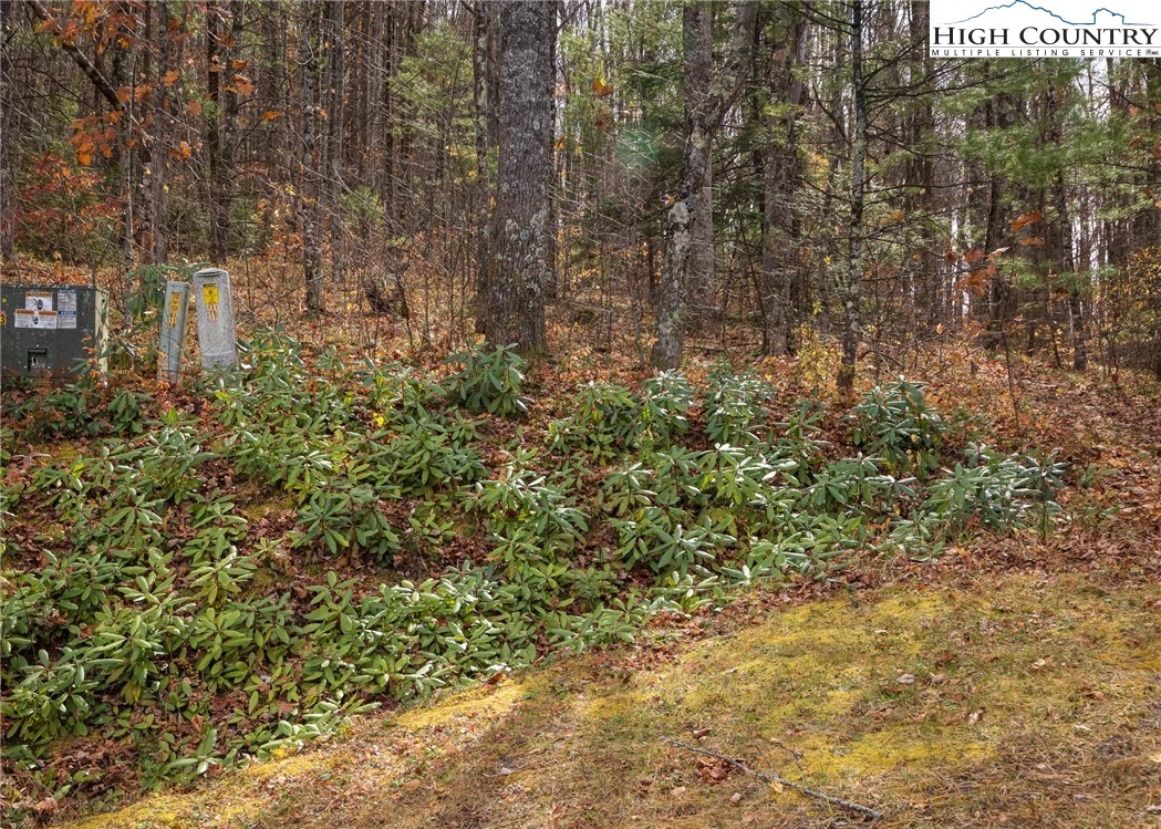 Tbd Lot 20 Solitude Lane Property Photo 4