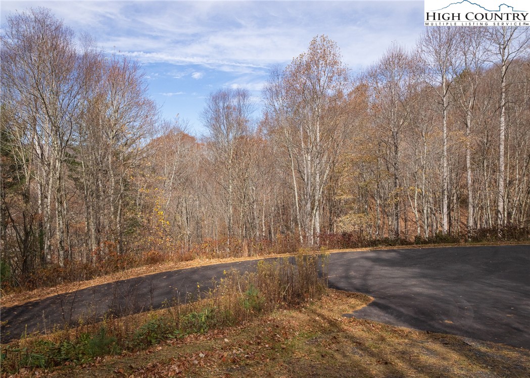 Tbd Lot 20 Solitude Lane Property Photo 5