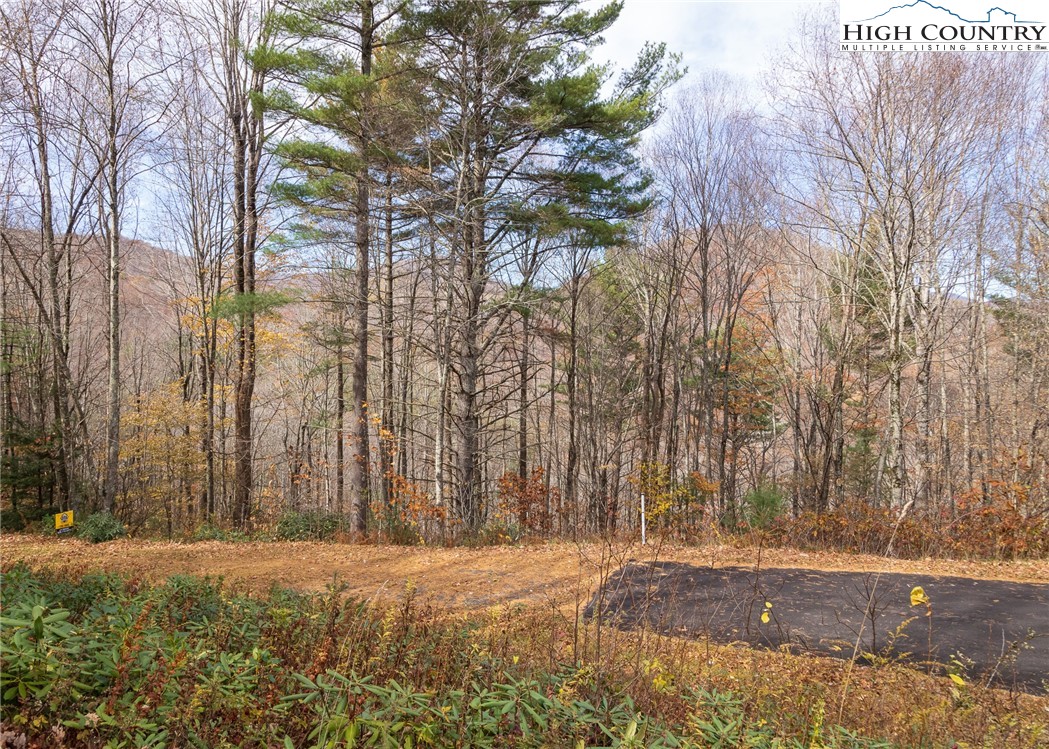 Tbd Lot 20 Solitude Lane Property Photo 6
