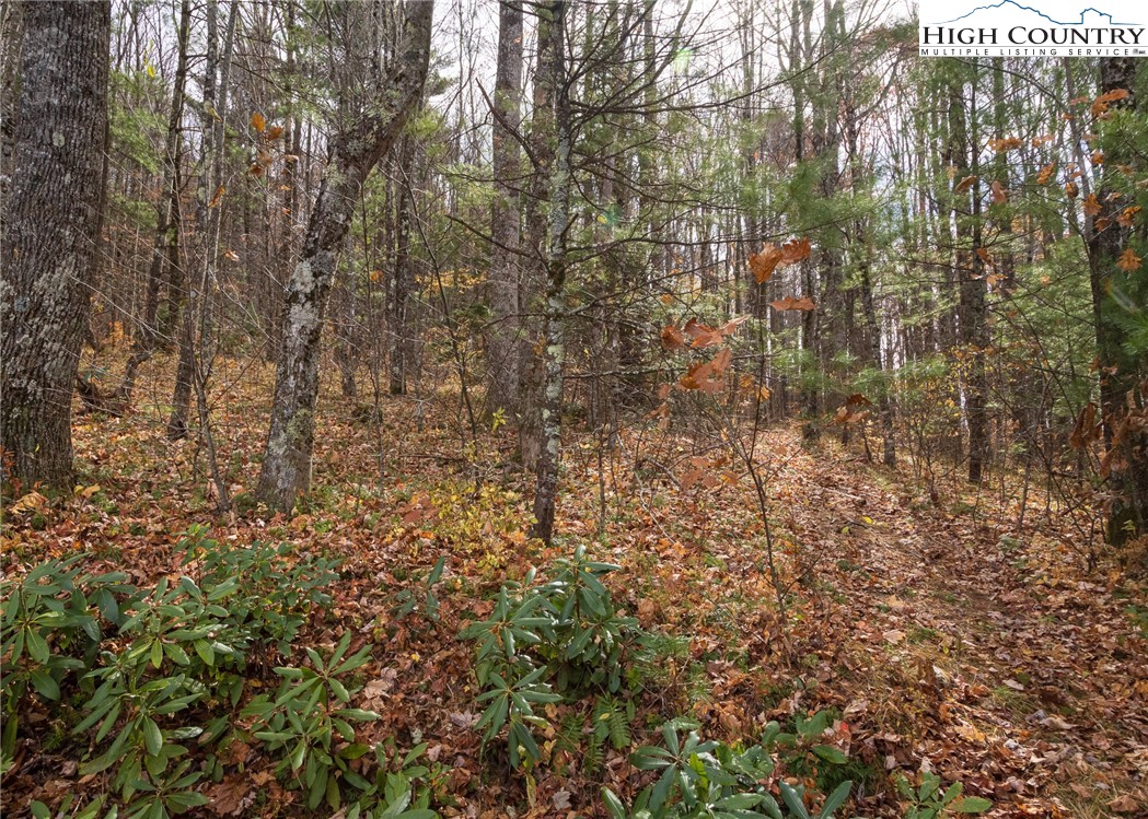 Tbd Lot 20 Solitude Lane Property Photo 7