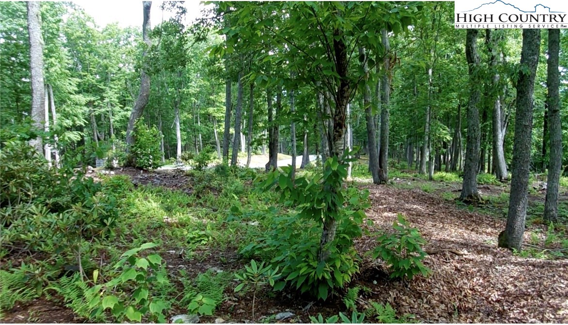 Lot 12 Sunset Ridge Road Property Photo 3