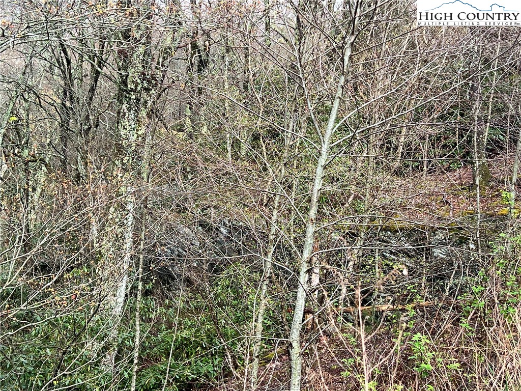 Lot 17 Cielo Road Property Photo 2