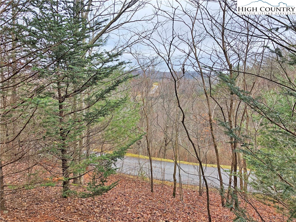 Lot 137 E Indrio Road Property Photo 2