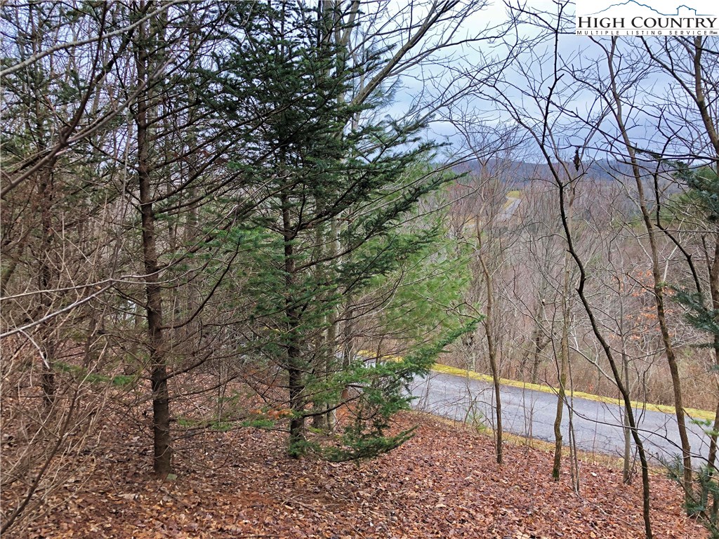 Lot 137 E Indrio Road Property Photo 6