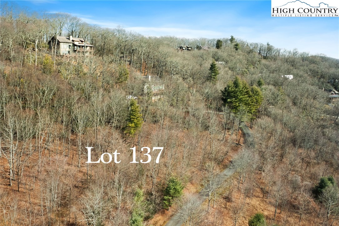 Lot 137 E Indrio Road Property Photo 7