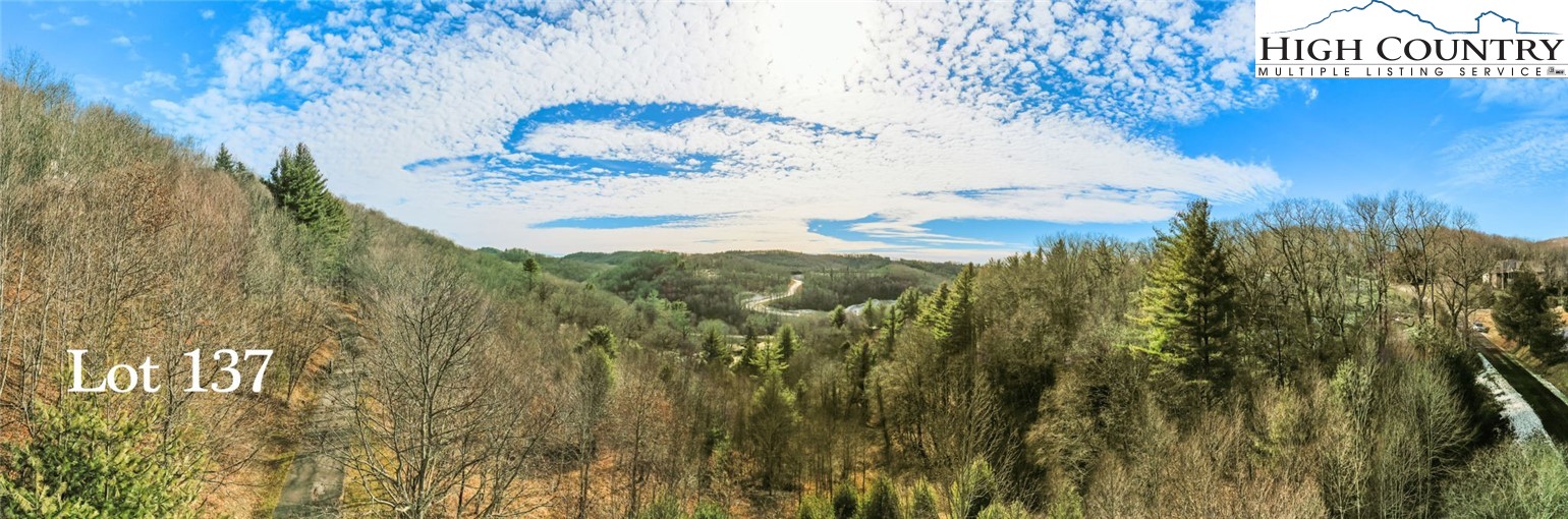 Lot 137 E Indrio Road Property Photo 8
