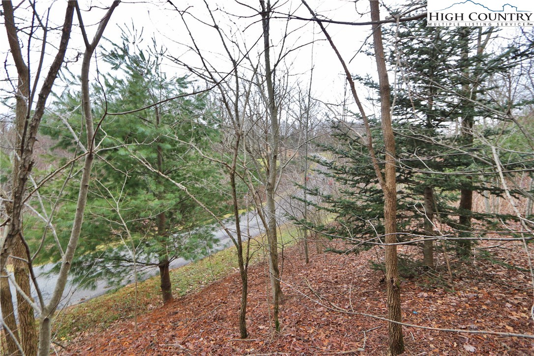 Lot 137 E Indrio Road Property Photo 12