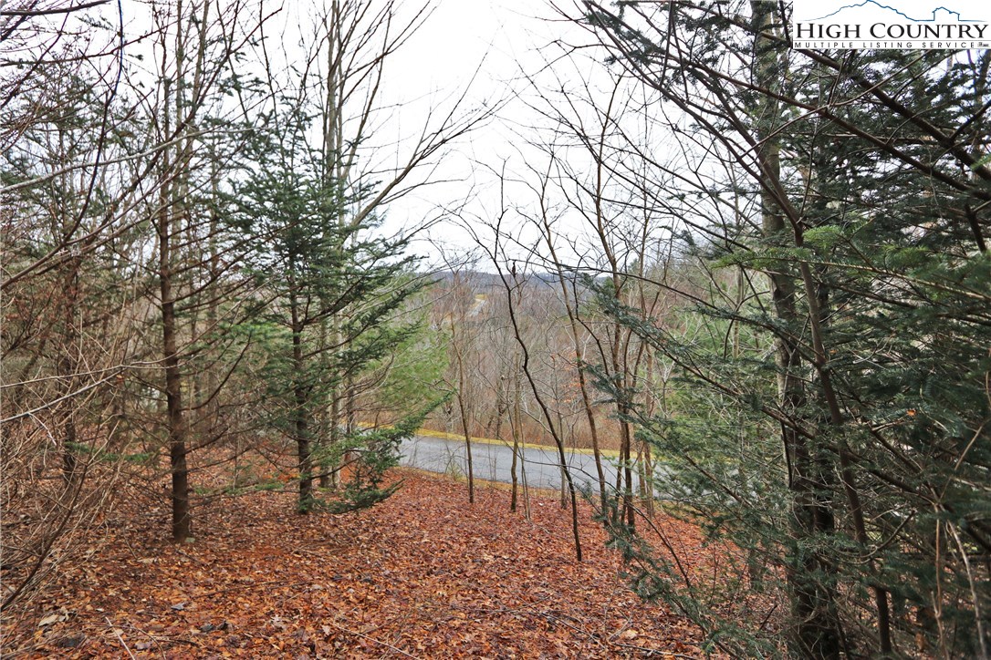 Lot 137 E Indrio Road Property Photo 13