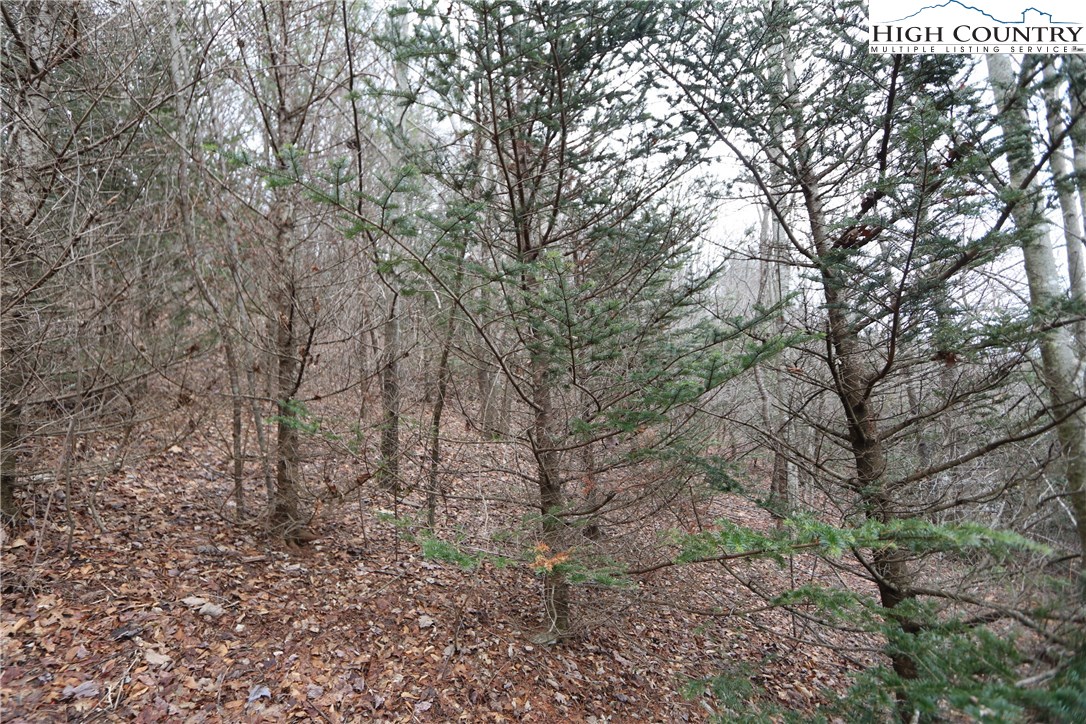 Lot 137 E Indrio Road Property Photo 14
