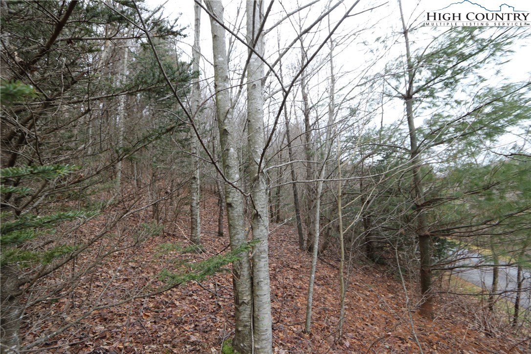 Lot 137 E Indrio Road Property Photo 15
