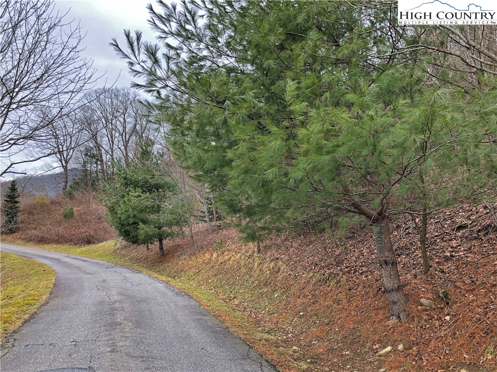 Lot 137 E Indrio Road Property Photo 16