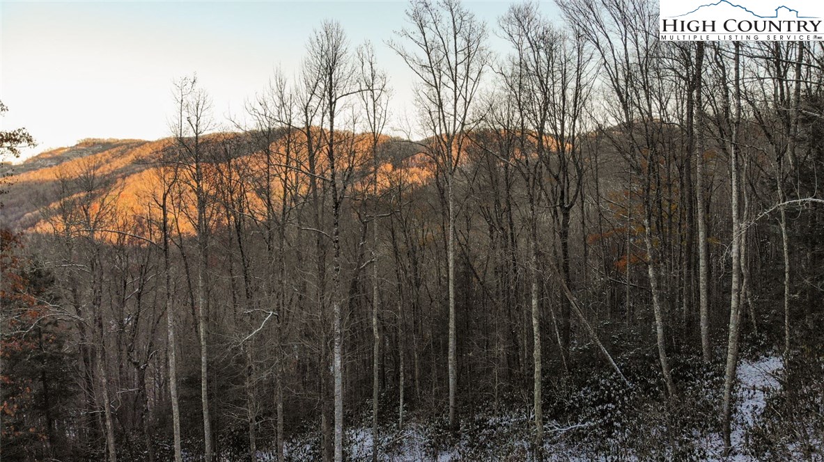 Lot 33 Willow Creek Estates Property Photo 1