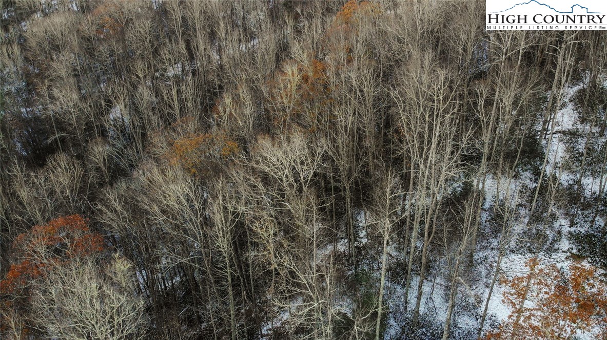 Lot 33 Willow Creek Estates Property Photo 3