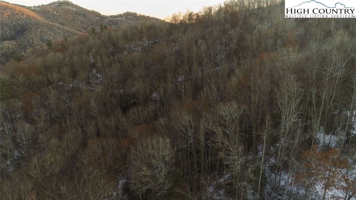 Lot 33 Willow Creek Estates Property Photo 6