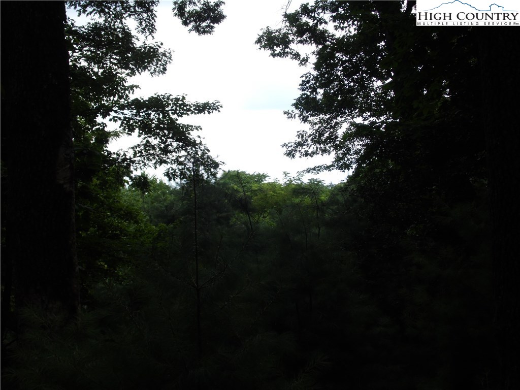 #26-k Wildwood Lane 26k Property Photo 6