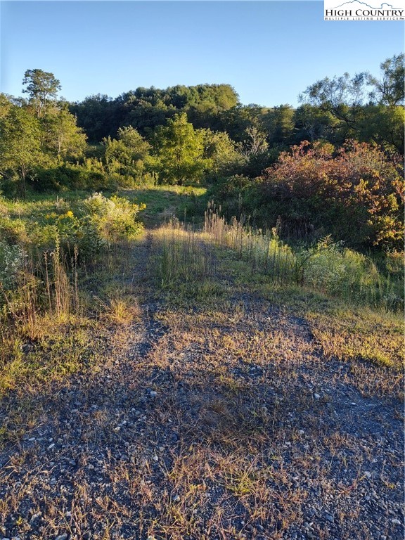 Tbd E Nc 16 Highway Property Photo 1