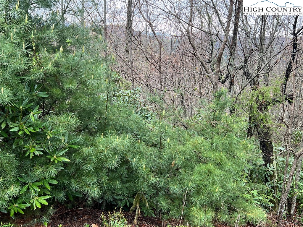 Lot 23 Cielo Road Property Photo 4