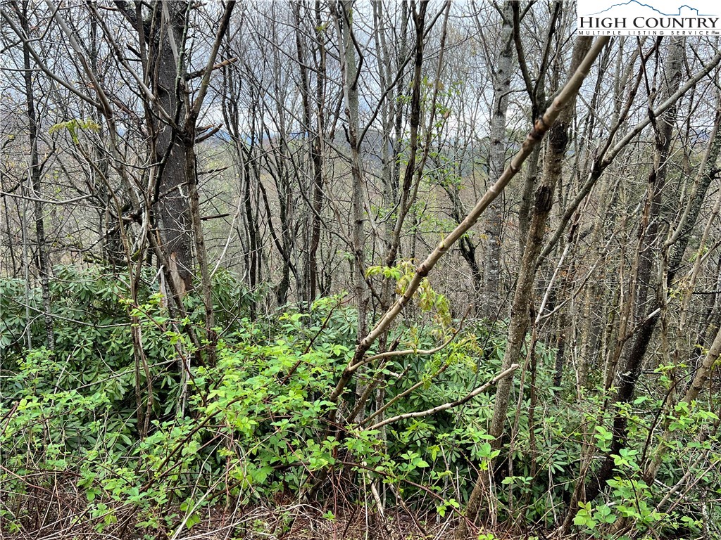 Lot 24 Cielo Road Property Photo 2