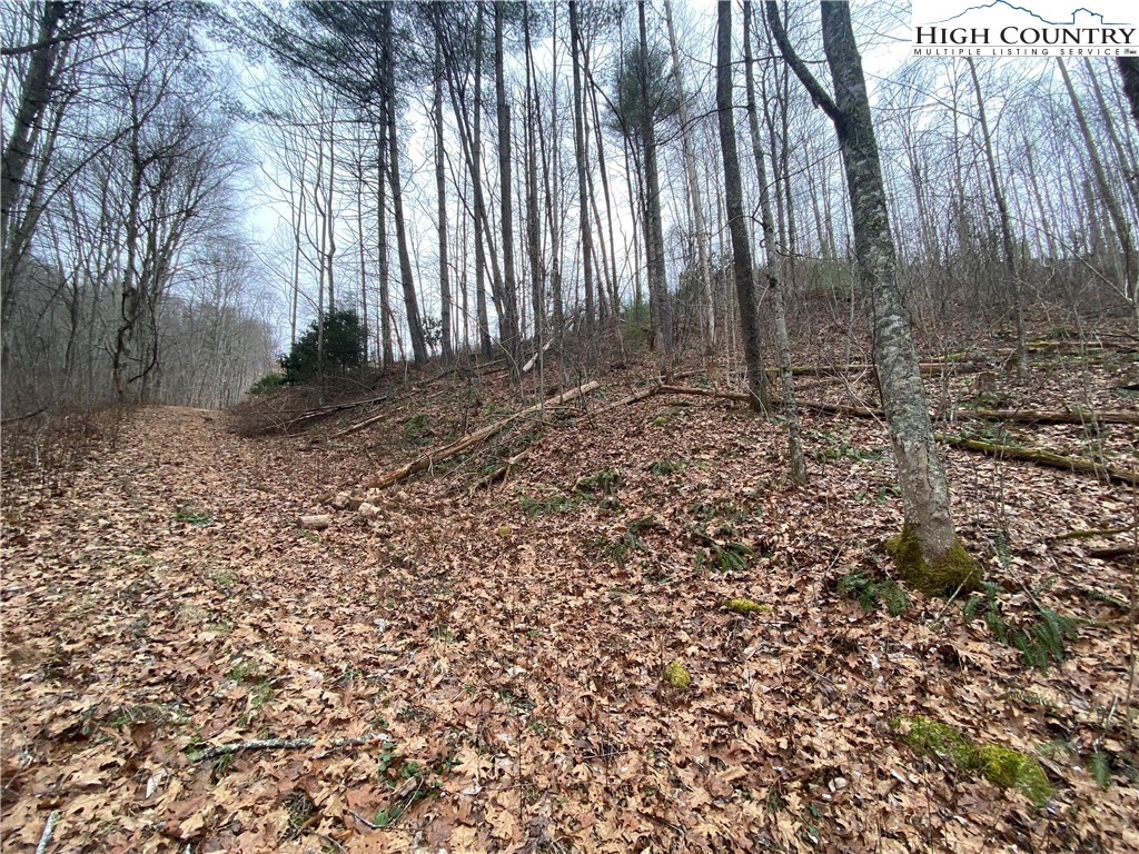 Tbd Rabbit Ridge Run Property Photo 1