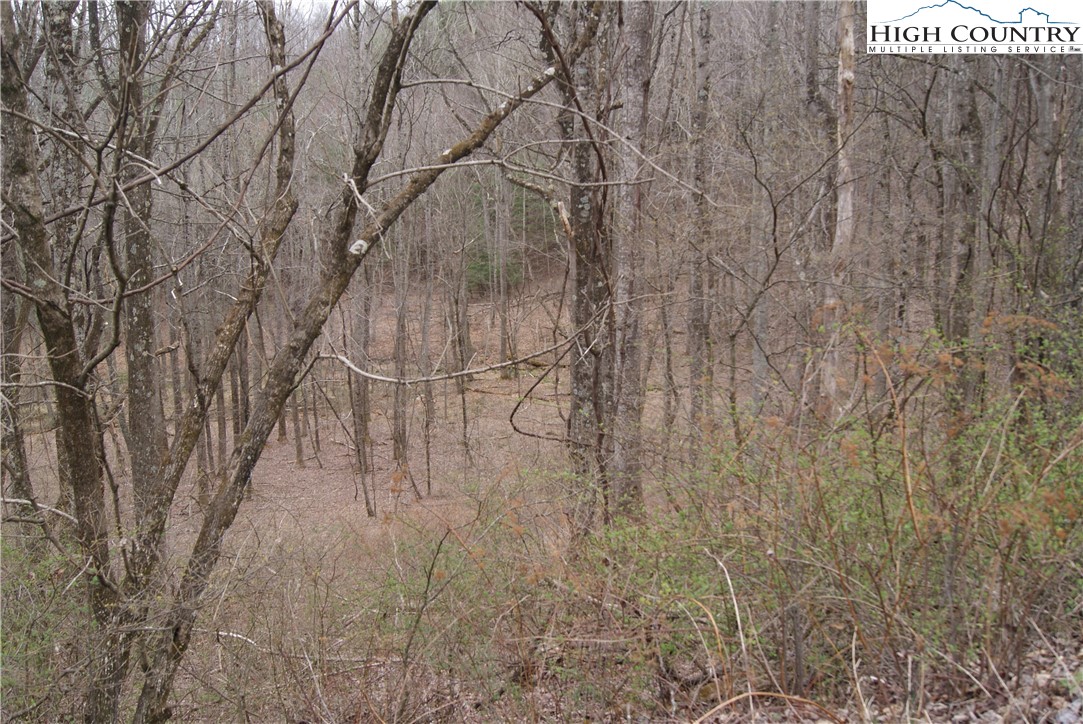 Lot 54 Toms Knob Road Property Photo 2