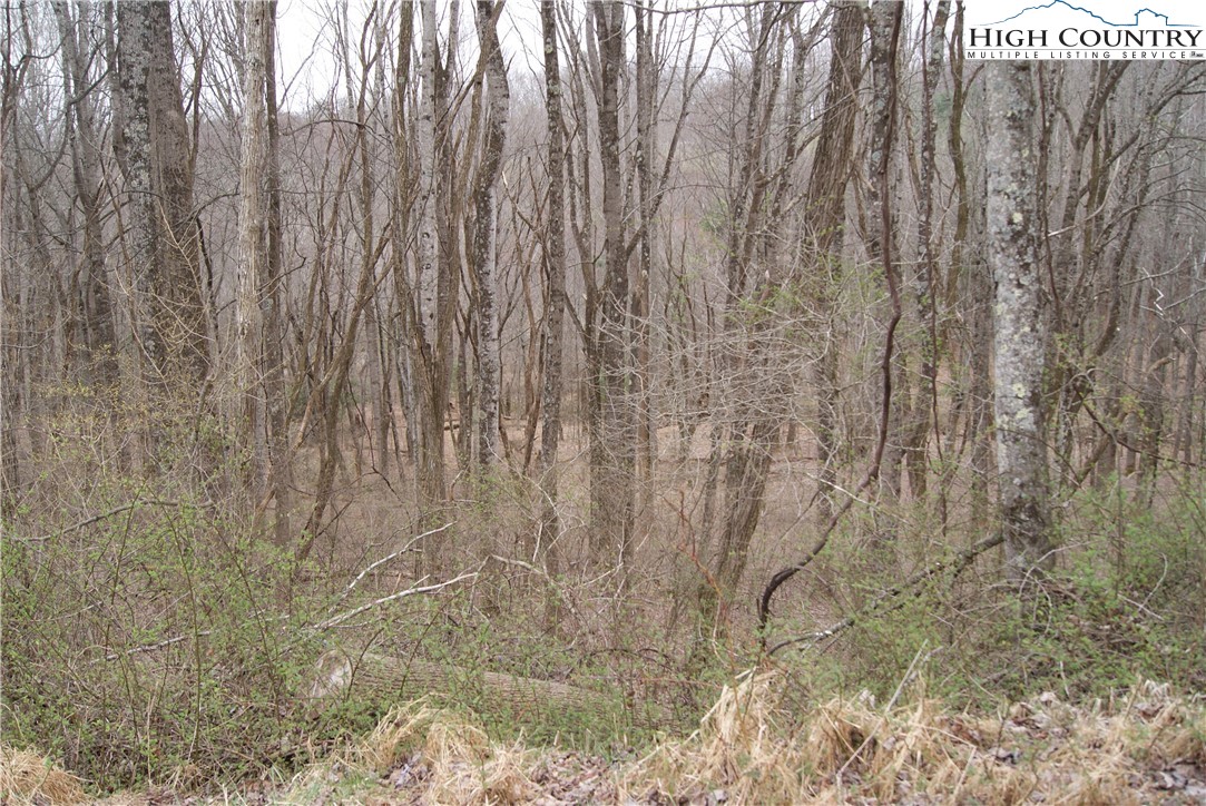 Lot 54 Toms Knob Road Property Photo 3