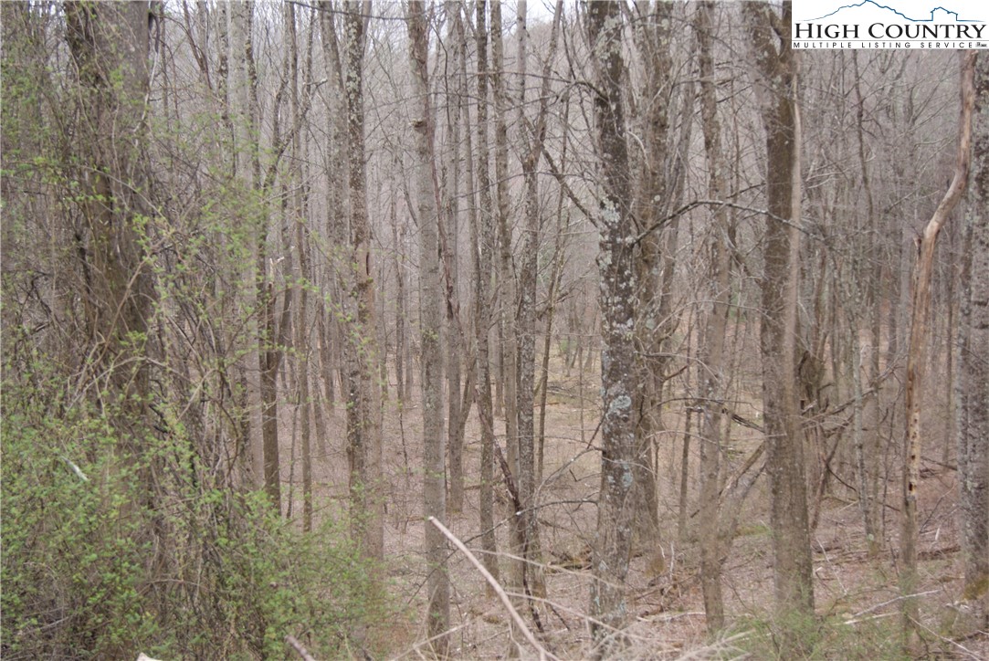 Lot 54 Toms Knob Road Property Photo 4
