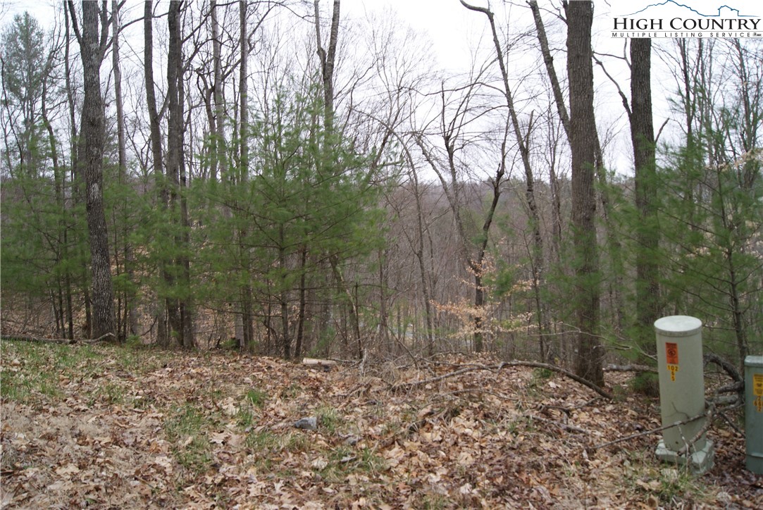 Lot 75 Forest Hill Drive Property Photo 1