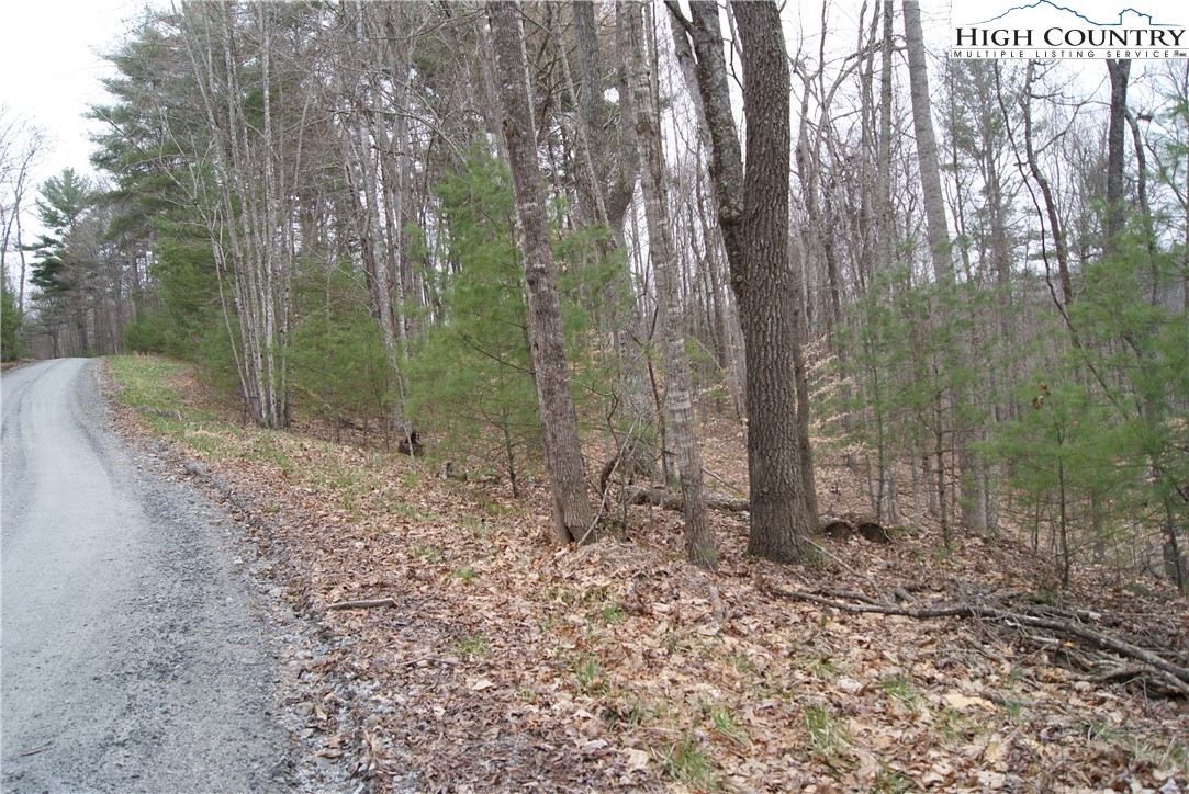 Lot 75 Forest Hill Drive Property Photo 2