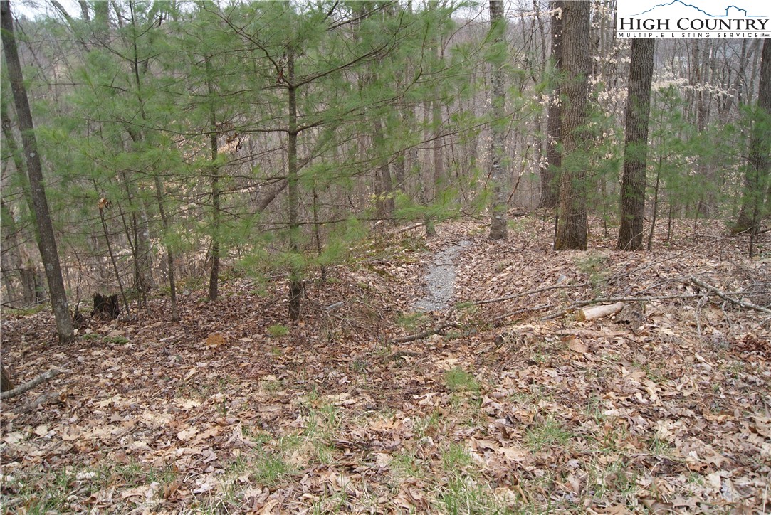 Lot 75 Forest Hill Drive Property Photo 3
