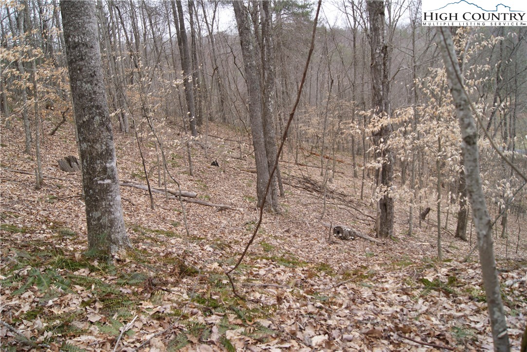 Lot 75 Forest Hill Drive Property Photo 4