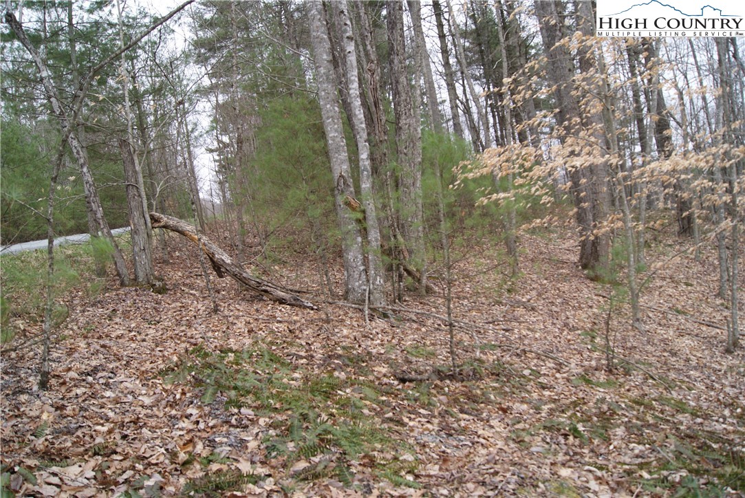 Lot 75 Forest Hill Drive Property Photo 5