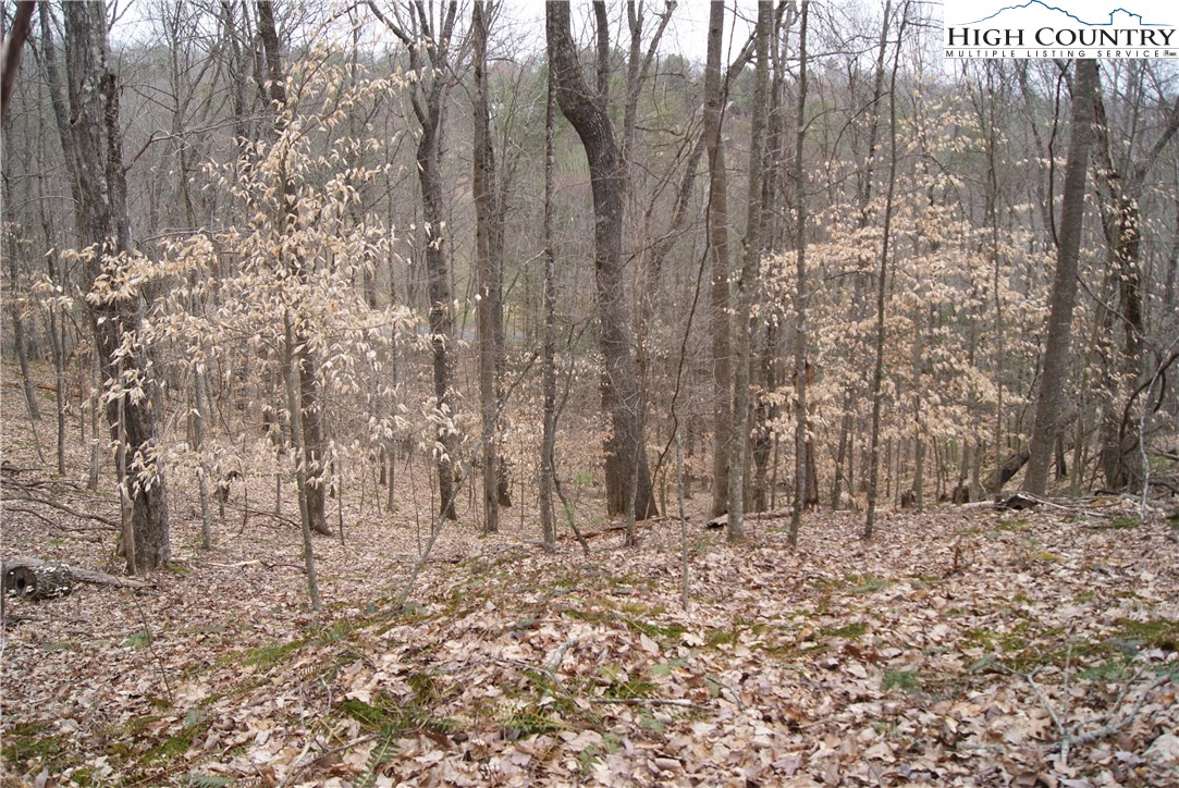 Lot 75 Forest Hill Drive Property Photo 6