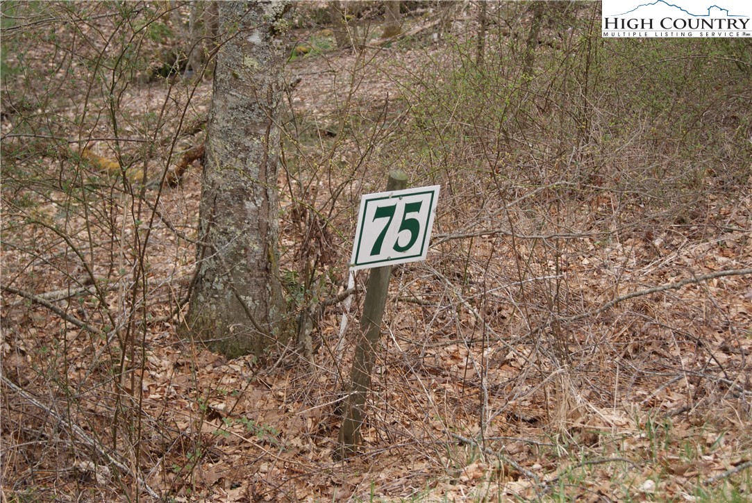 Lot 75 Forest Hill Drive Property Photo 8