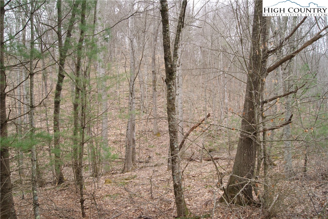 Lot 75 Forest Hill Drive Property Photo 9