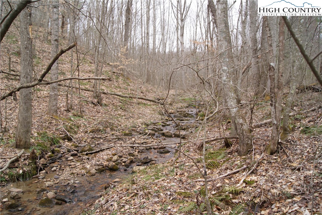 Lot 75 Forest Hill Drive Property Photo 10
