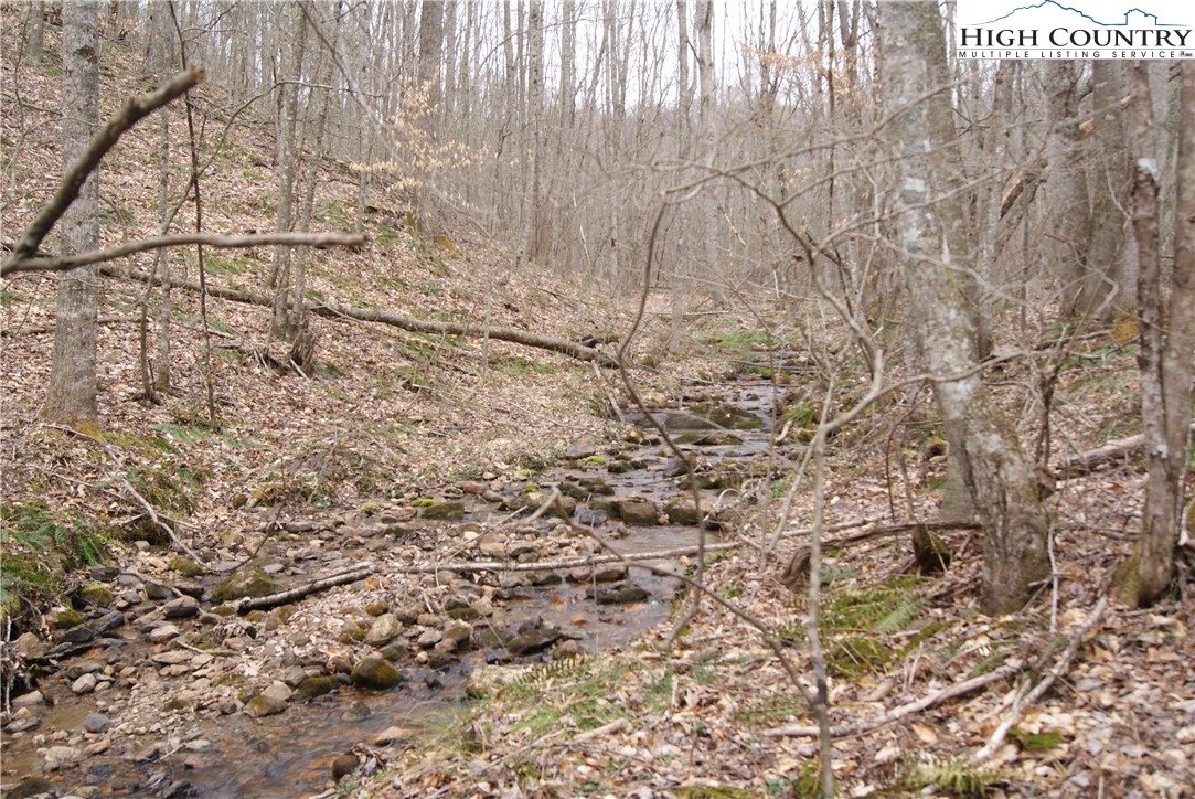 Lot 75 Forest Hill Drive Property Photo 11