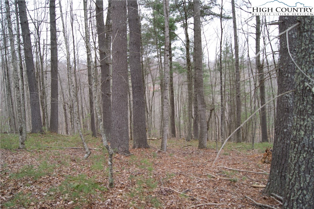 Lot 74 Forest Hill Drive Property Photo 1