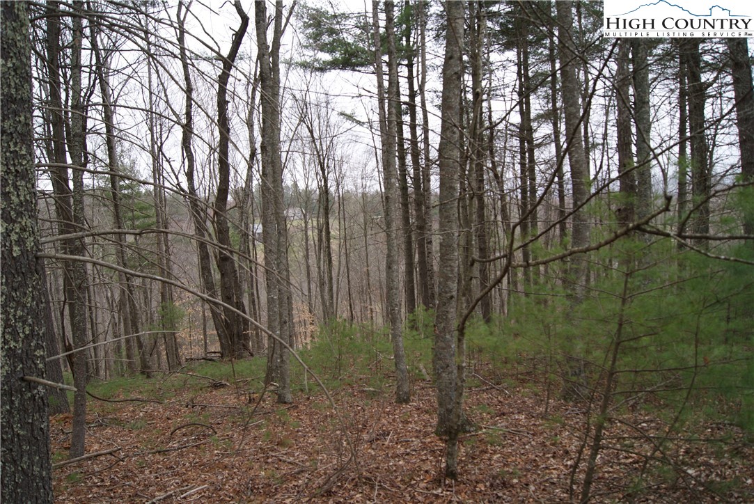 Lot 74 Forest Hill Drive Property Photo 3