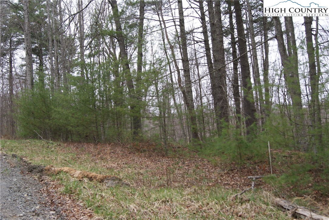 Lot 74 Forest Hill Drive Property Photo 4