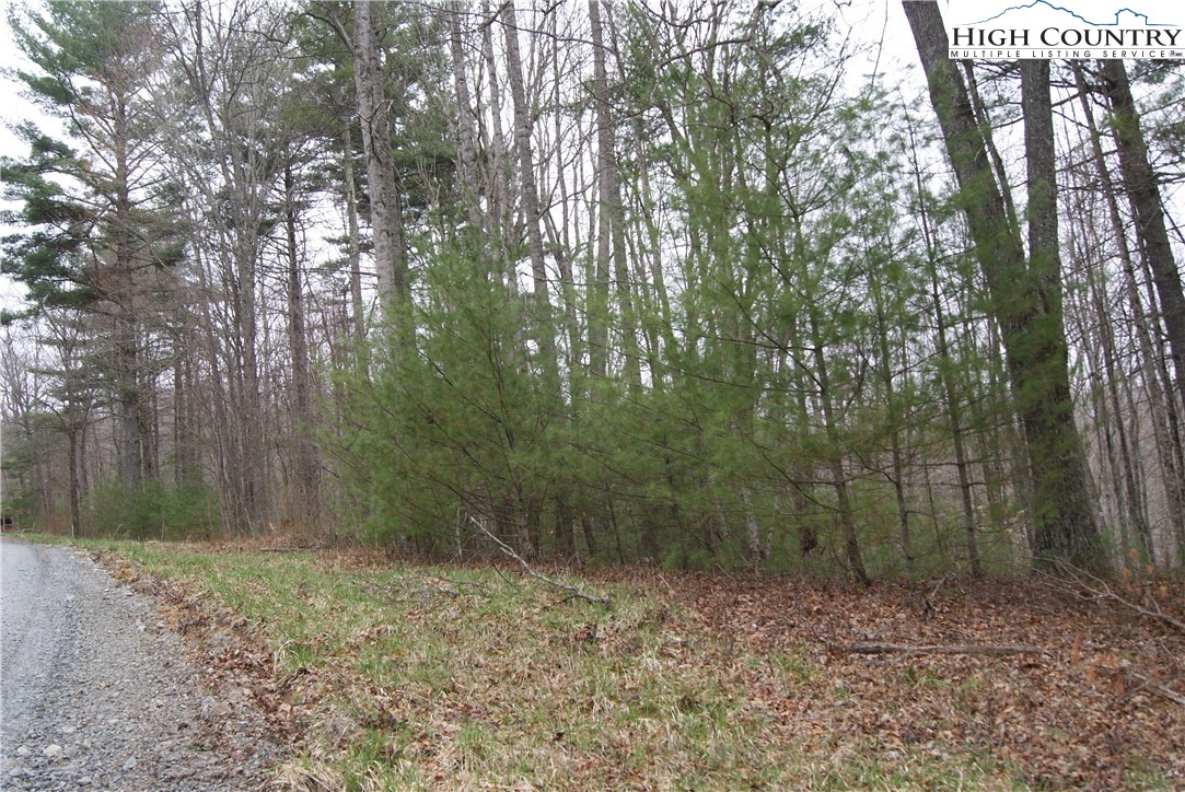 Lot 74 Forest Hill Drive Property Photo 5