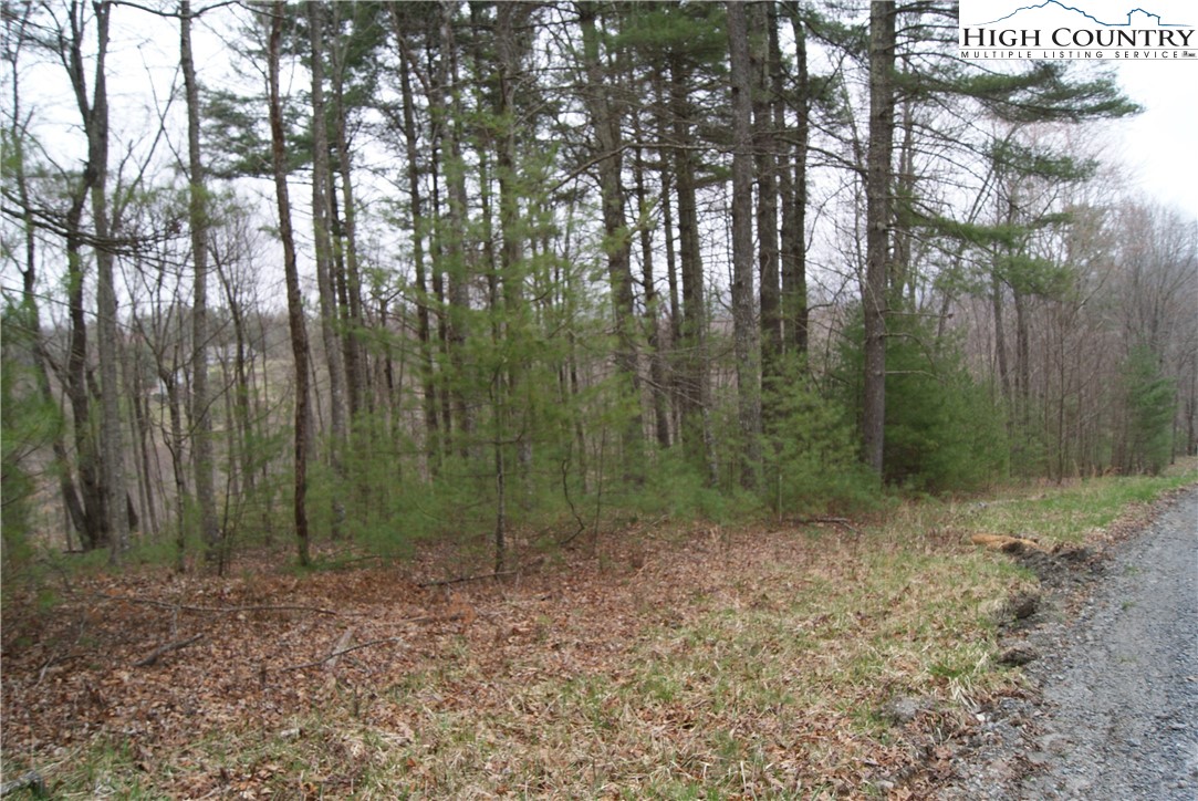 Lot 74 Forest Hill Drive Property Photo 6